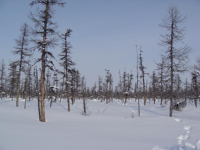 north from sas to zranklanker 034.jpg